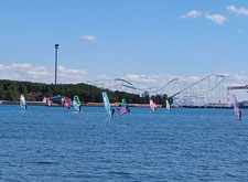 speedwall 神奈川 横浜 海の公園 ウインドサーフィン SUP スクール 体験 スピードウォール
