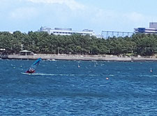 ウインドサーフィン　海の公園　speedwall　スピードウォール　初心者　スクール　体験　横浜