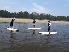 ウインドサーフィン　海の公園　speedwall　スピードウォール　初心者　スクール　体験　横浜　神奈川　star　jp　goya　SEVERNE　neil　ga　