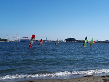 ウインドサーフィン　ＳＵＰ　海の公園　スピードウォール　横浜　神奈川　初心者　体験　スクール
