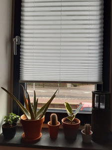 Man sieht Fenster mit zugezogenem Rollo.