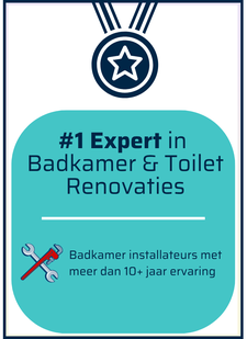 toilet-renoveren-toilet-renovatie-badkamerwinkel-dms-3