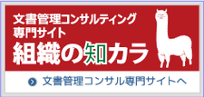 文書管理コンサルティング組織の知カラバナー