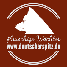 brown Giant Spitz Grosspitz German Spitz breeder puppy  flauschige Wächter guard dog old type
