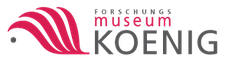 MuseumKönig: Austellungen und Bildung