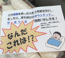 ダウンケットポスター写真