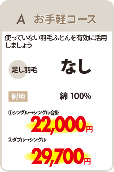 羽毛リフォームA　お手軽コース　足し羽毛なしシングル22,000円