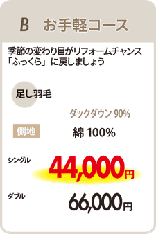 羽毛リフォームB　お手軽コース　足し羽毛350ｇ　シングル44,000円