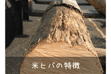 グレードのご紹介