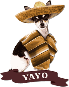 Yayo logo