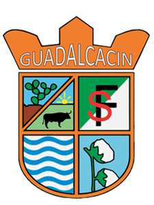 Página web de cdguadalcacinfs