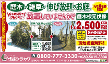 庭木根元伐採 1本2500円（先着8名様限定）　伐採シラカワ