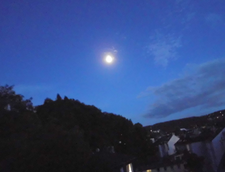 Blick aus dem Fenster