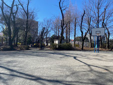 北野公園バスケットゴール