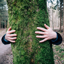 hugging a tree
