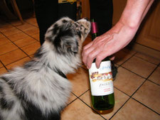 Ein Schluck von der Mosel ;)