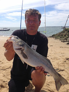 Un bar de 67 cm pris en surfcasting à la lanière de seiche