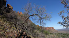 Vue du Waterberg