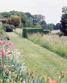 Auschnitt mit Blick in einen gepflegten Garten. Das bild wird links eingerahmt von bunten wiesenblumen die nahe am Betrachter wachsen und unscharf ins Bild ragen. Nach rechts hinten weitet sich die Perspektive auf einen schön geschnittenen Rasen.