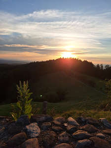 Meditation in Friedrichshafen