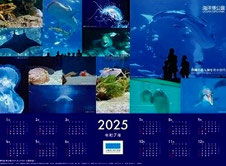 沖縄美ら海水族館 先着でカレンダープレゼント