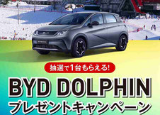 BYDドルフィン 車1台 プレゼント