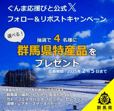 群馬県 群馬県特産品 プレゼント