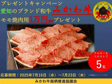 みかわ牛 プレゼント