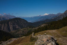 vista dal colle Renzola