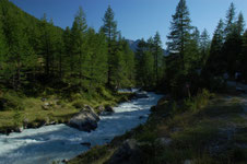 il torrente accanto alla mulattiera
