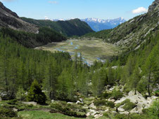 La valla di Preda Rossa