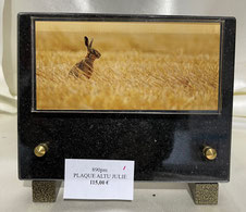 Chasse 11 - 115 € 