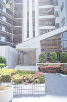 コスモ鶴見緑地,鶴見中古マンション,鶴見中古物件,東大阪,中古マンション,スーモ,ホームズ,suumo,homes,リノベーション,リフォーム,住家,すみか,sumika