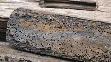 Wood, Ubud, Indonesia