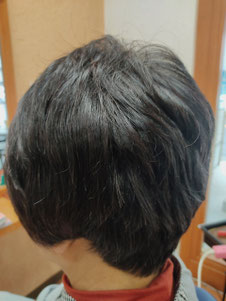 根元シコン色で毛先ヘナ