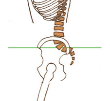 korrekte Beckenhaltung (gerade aufgerichtet)