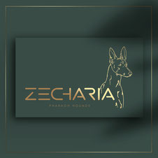 creative dog pet logo; luxury kennel logo design; Pharaoh Hound kennel logo; best creative luxury logo ideas dogs; order luxury logo online; Kiev; Ukraine; PRS LA BEAUTY; 2024, 2023, Yuliya Strizhkina, Zhecharia, Pharaon hounds, Great Britain, England