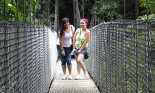 Combinado: Caminata Puentes Colgantes y Volcán Arenal