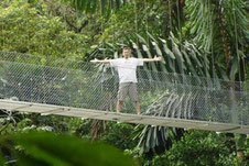 Arenal Combo: Hanging Bridges & La Fortuna Waterfall.