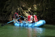 Combinado Puentes Colgantes & Safari en Balsa Peñas Blancas