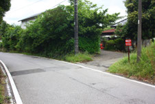 写真2