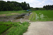 写真5