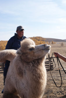 Nomade guide en chameau 