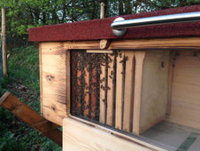 Bienenhaus mit Fenster