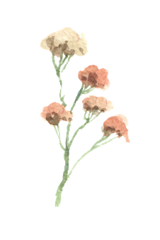 ateliers création artistiques avec les plantes - L'Épi Sauvage - activités & sorties botaniques