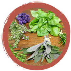 Quiz Wildkräuterbrot