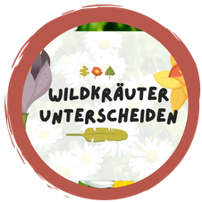Quiz Wildkräuterbrot