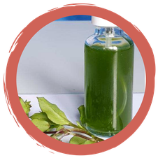 Haut-Smoothie mit Vogelmiere – ganz vegan