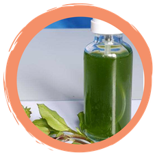 Haut-Smoothie mit Vogelmiere – ganz vegan