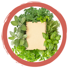 Wildkräuter Rezepte